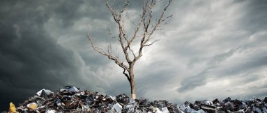 九游平台_九游（中国）一站式服务平台三和，设计更好用的垃圾桶